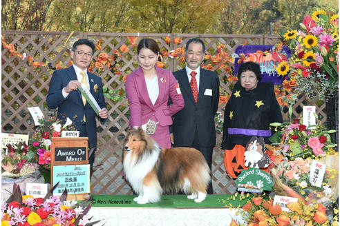 大澤由利香ブリーダーの詳細の1枚目